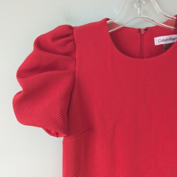 Calvin Klein Petite Women's Red/Pink Textured Puff Sleeve Dress - Picture 4 of 8